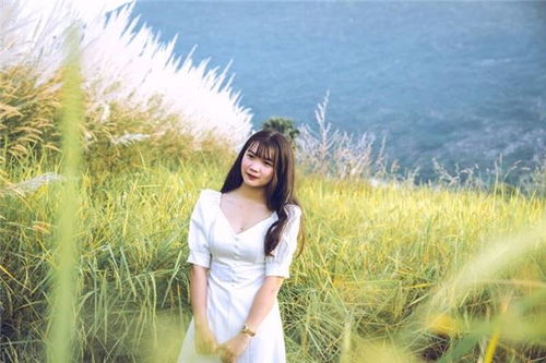 手相面相算命知識大全 從古老智慧到網(wǎng)紅孵化的新機(jī)遇